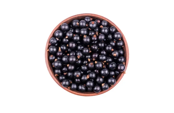 Schwarze Johannisbeeren in einer Schüssel — Stockfoto