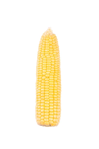 Corn cobs — Stock Photo, Image