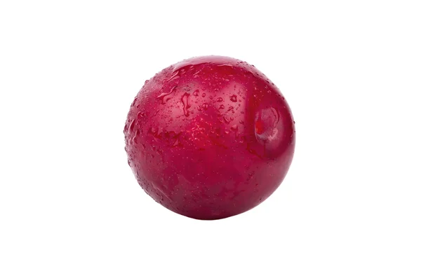 Ameixa vermelha com gotas — Fotografia de Stock