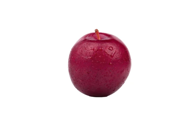 Red plum with drops — Stock Photo, Image