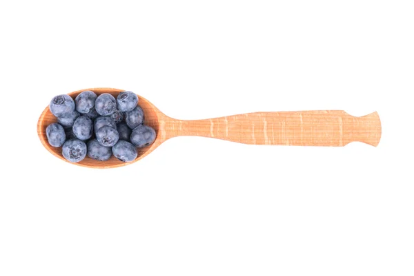 Blaubeeren im Löffel — Stockfoto