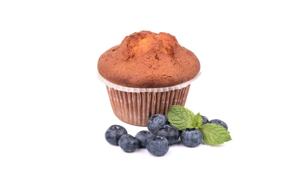 Muffin with blueberries — Stock Photo, Image