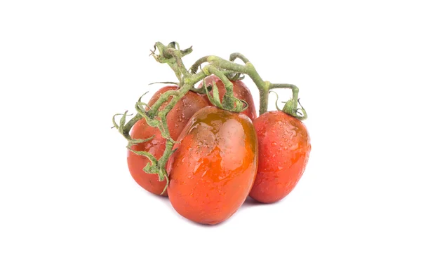 Raminho de tomates vermelhos — Fotografia de Stock