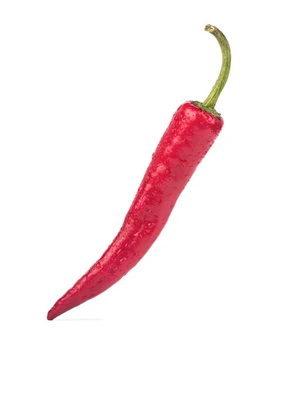 Merah paprika panas — Stok Foto