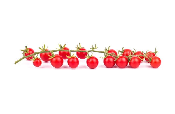 Takje cherry tomaten — Stockfoto