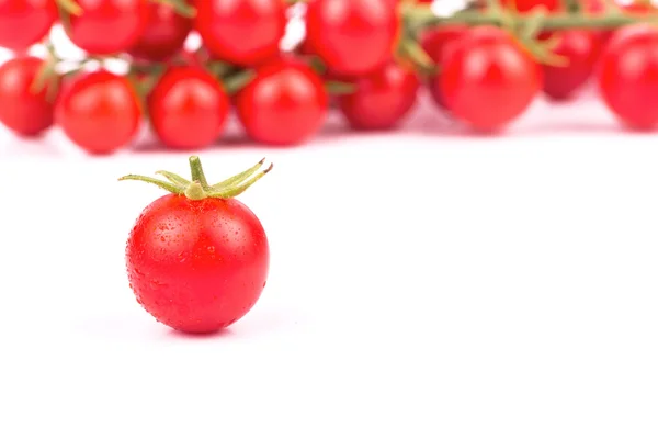 Cherry tomaten — Stockfoto