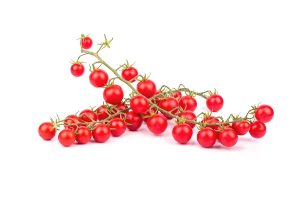 Raminho de tomate cereja — Fotografia de Stock