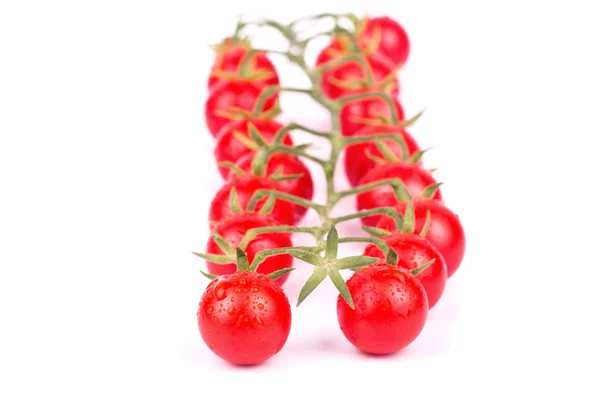 Raminho de tomate cereja — Fotografia de Stock