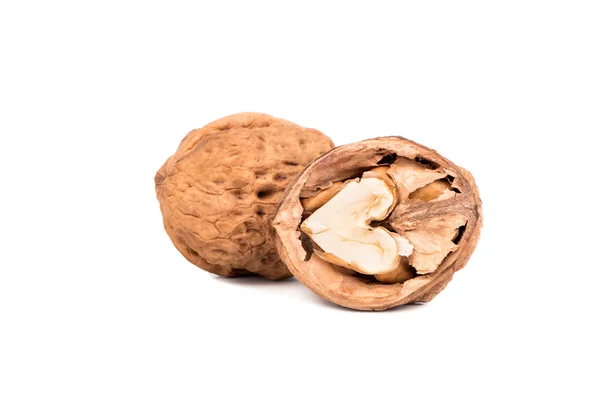 Nueces maduras en cáscara — Foto de Stock