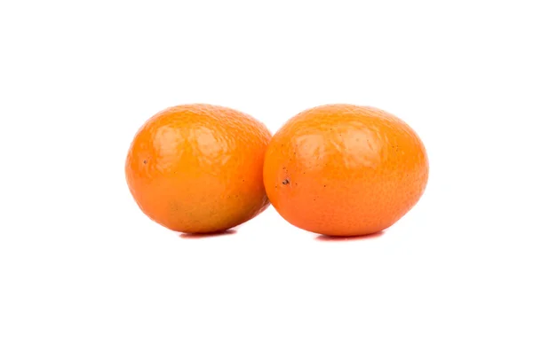 Čerstvé ovoce Kumquat — Stock fotografie
