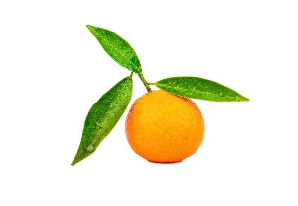 Fresh fruit tangerine — Stock Photo, Image