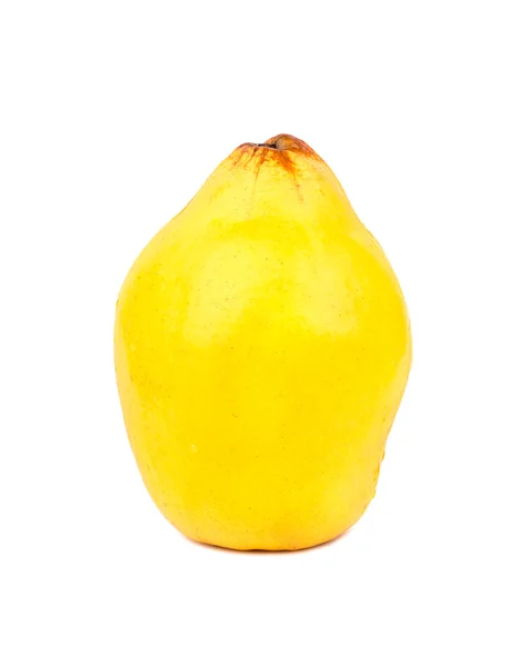 Quitten aus frischem Obst — Stockfoto