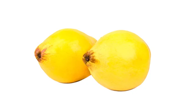 Two fruit quince — Stock Photo, Image