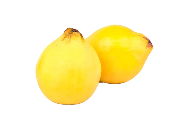 Айва два фрукти — стокове фото