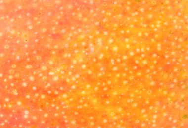 Arka plan mango meyve