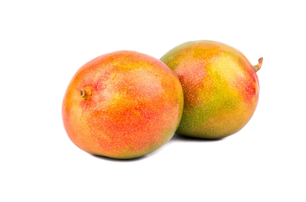 Два фрукта манго — стоковое фото