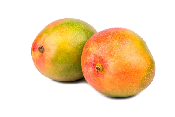 Dos frutas de mango — Foto de Stock