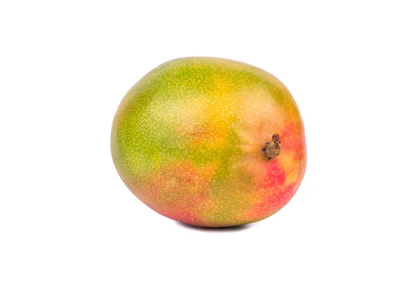 Fruta fresca de mango — Foto de Stock