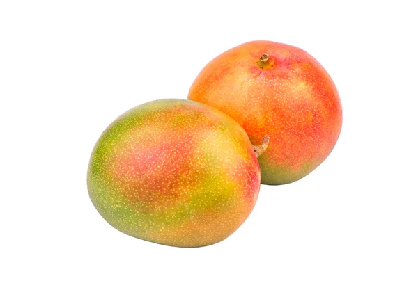 Dos frutas de mango — Foto de Stock