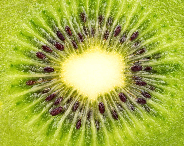 Achtergrond voor de helft kiwi — Stockfoto