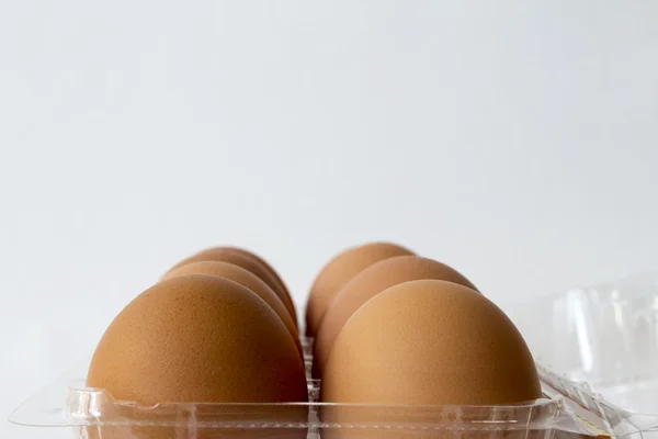 Front view Ten brown chicken eggs in plastic container package — Stock Photo, Image