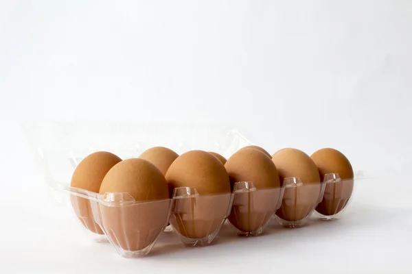 Ten brown chicken eggs in plastic container package — Stock Photo, Image