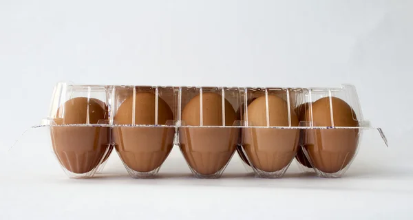 Tio brun hönsägg i plastbehållare paket Stockfoto