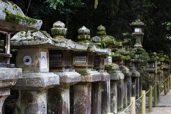 Faroles antiguos de piedra en el santuario Kasuga-taisha — Foto de Stock