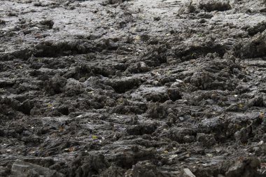 Zengin besin inşaat kara toprak 