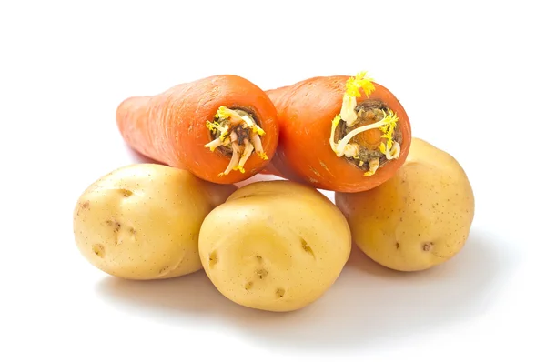 Carrots potatoes — Stock Photo, Image