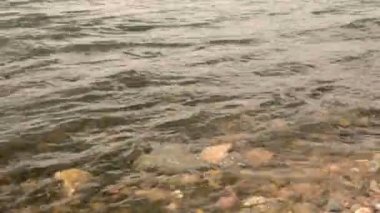 Nehir kıyısında küçük dalgalar