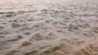 Küçük dalgalar Nehri