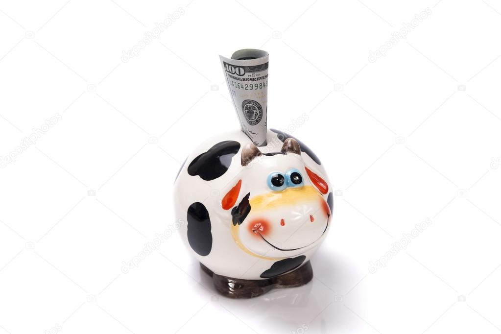 moneybox a cow with the note of dollar