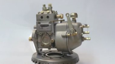 Siyah arkaplanda elma