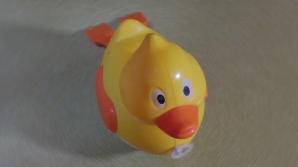 Toy duck close up — Stock Video