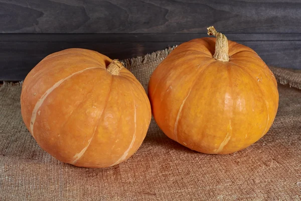 Two pumpkins on a canvas — Stock Photo, Image