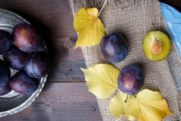 Prunes crues fraîches violettes aux feuilles d'automne — Photo