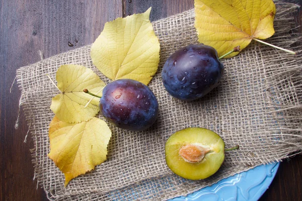 Prunes crues fraîches violettes aux feuilles d'automne — Photo