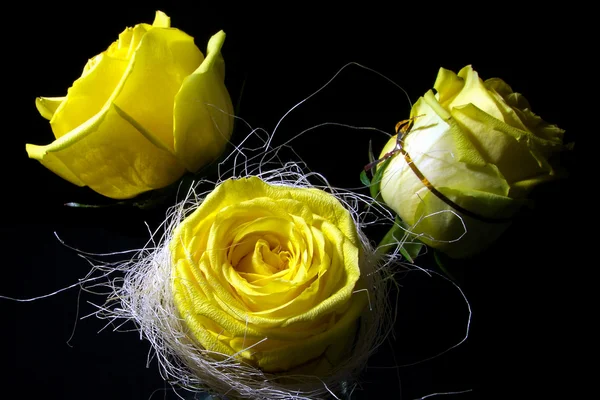 黒の背景に 3 つの黄色いバラ — ストック写真