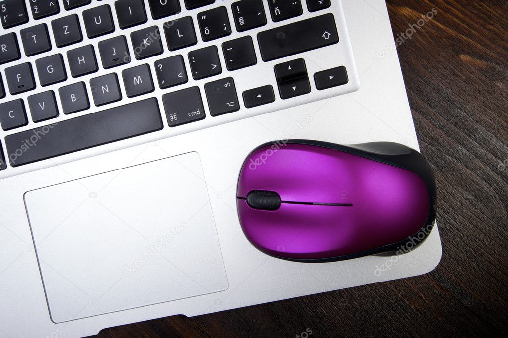 Computer mouse with notebook