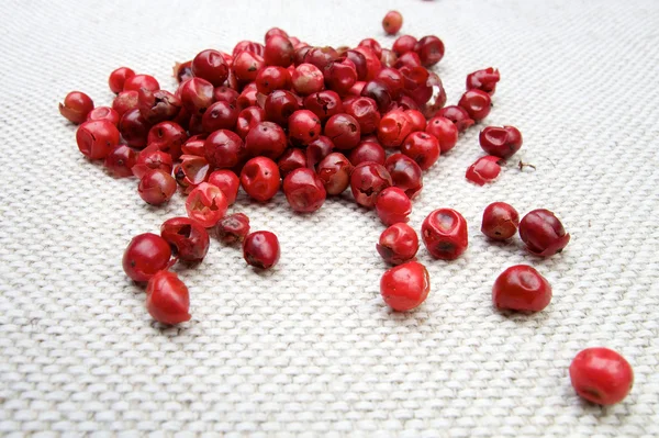 Pink red pepper spices — Stock Photo, Image