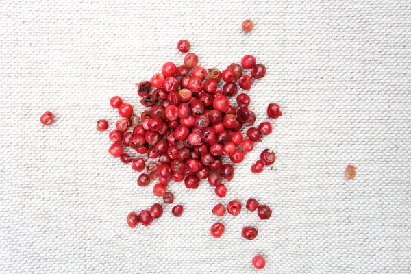 Rosa röd peppar kryddor — Stockfoto