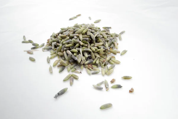 Сушеная мягкая травяная лаванда — стоковое фото