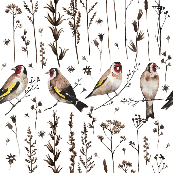 Modèle vintage sans couture dans le style de la frontière avec des oiseaux de chardonneret des plantes et des fleurs sèches d'automne. Aquarelle peinture — Photo