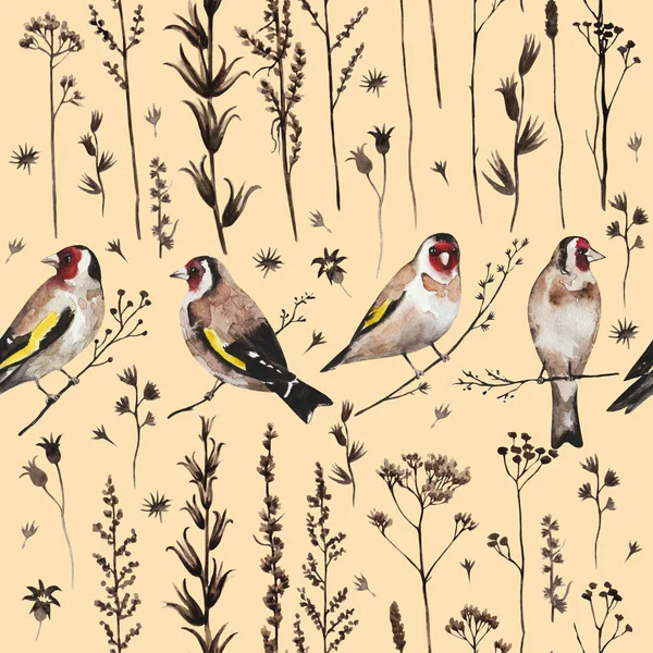 用金翅雀鸟和秋天干枯的植物和花朵做成的边境风格的无缝老式图案。水彩画 — 图库照片
