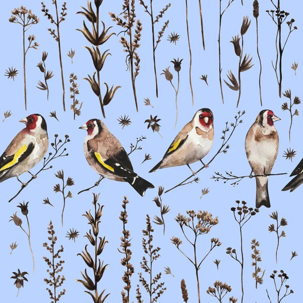 Modèle vintage sans couture dans le style de la frontière avec des oiseaux de chardonneret des plantes et des fleurs sèches d'automne. Aquarelle peinture — Photo