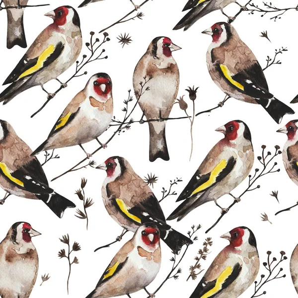 Seamless vintage pattern with goldfinch birds sitting on dry branches. Watercolor painting — Stock Photo, Image