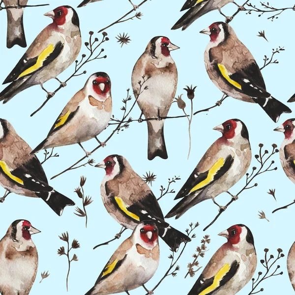 Seamless vintage pattern with goldfinch birds sitting on dry branches. Watercolor painting — Stock Photo, Image