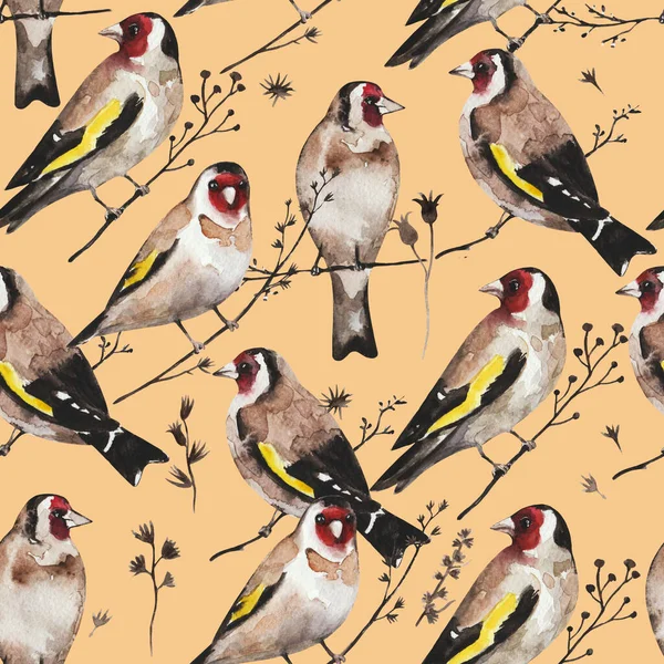 Seamless vintage pattern with goldfinch birds sitting on dry branches. Watercolor painting — Stock Photo, Image