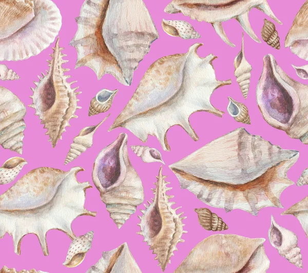 바다 조개와 수정 고둥으로 만든 무미건조 한 무늬야. 수채화. — 스톡 사진